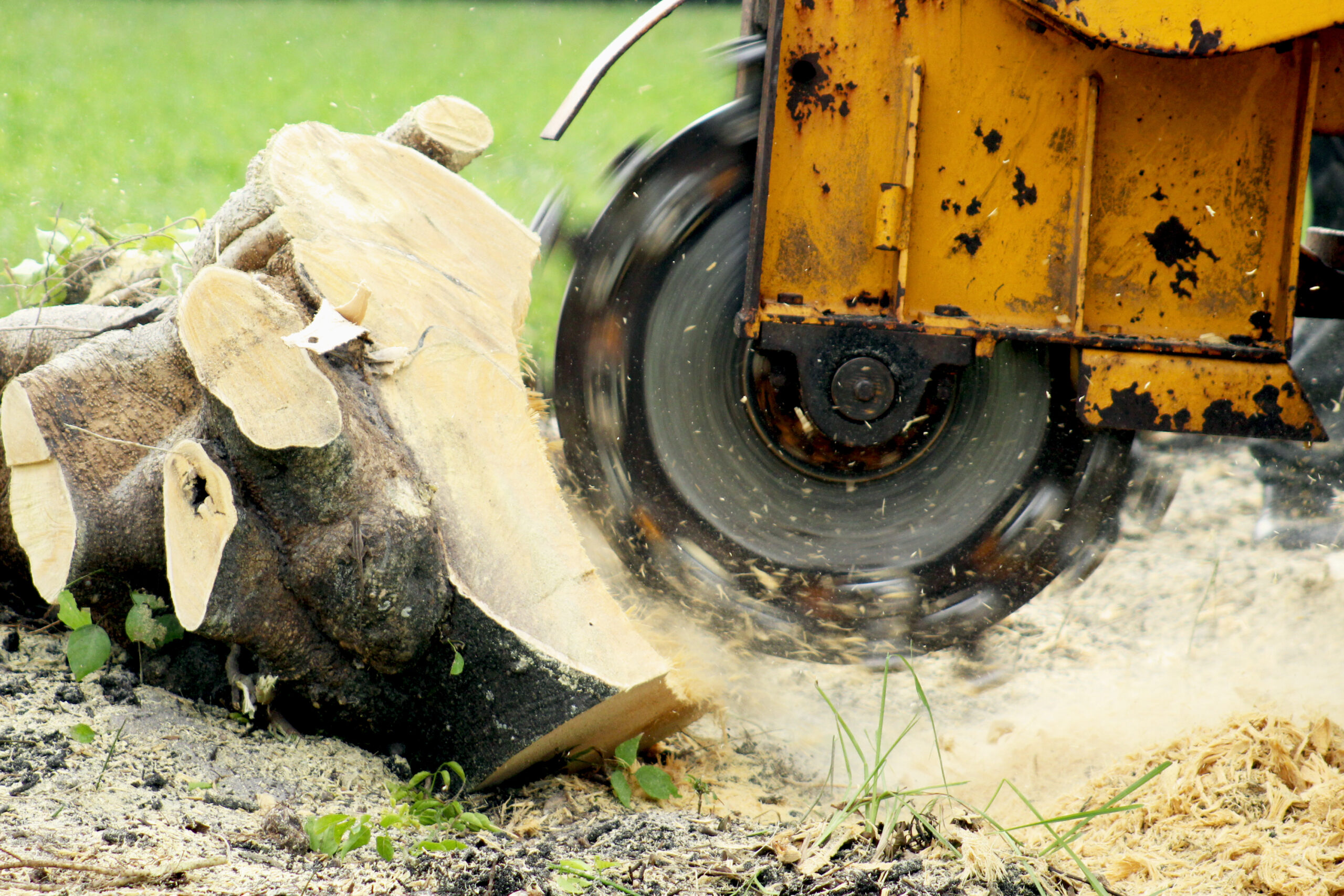 a stump grinder being used by a person at tree service lawton ok